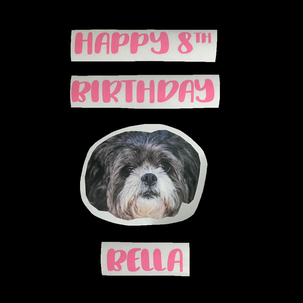 Custom Photo Balloominator - Balloominators