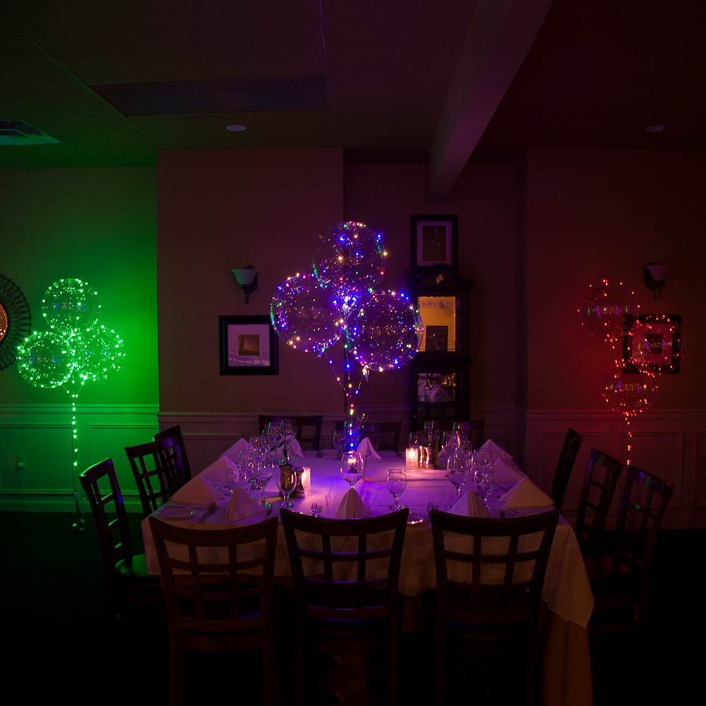 Multi (Blue/Green/Red/Yellow) 24 Inch Balloominators - Box of 6 - Balloominators