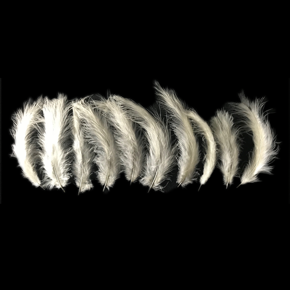 Ivory Feathers - Balloominators
