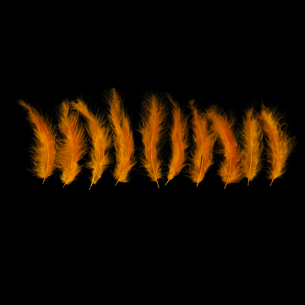 Orange Feathers - Balloominators