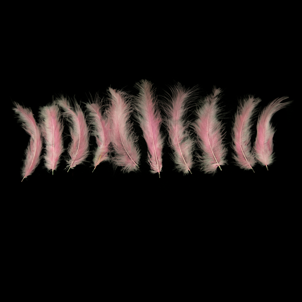 Light Pink Feathers - Balloominators