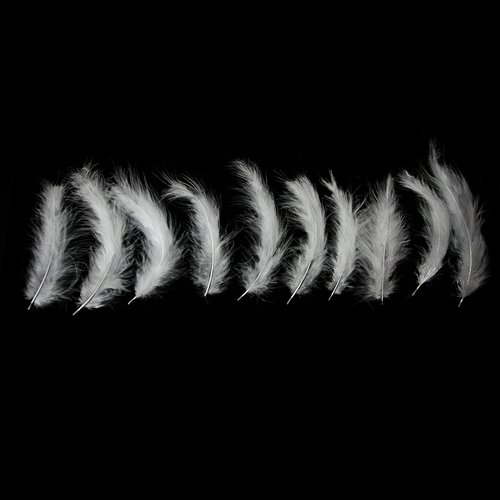 White Feathers - Balloominators