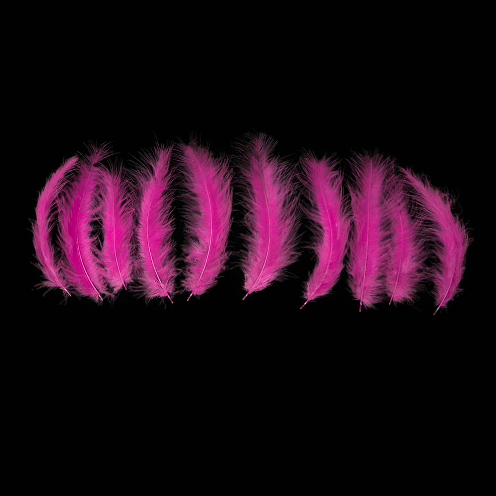 Fuschia Feathers - Balloominators